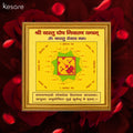 Kesare Vastu Dosh Nivaran Yantra