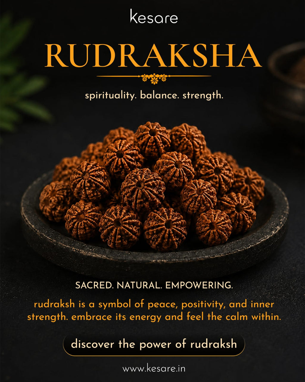 Rudraksha Beads